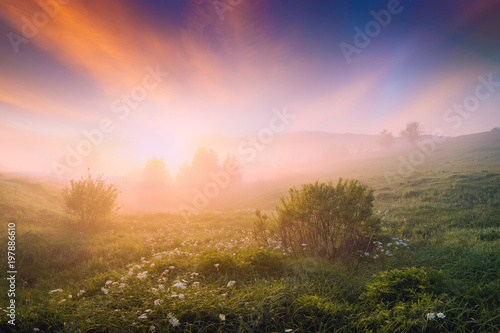 Bright misty morning with majestic pink clouds