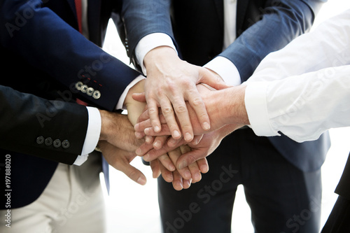 Wallpaper Mural closeup of hands from businessmen together Torontodigital.ca