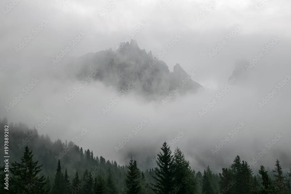Fototapeta premium Berggipfel im Nebel mit Tannen im Vordergrund