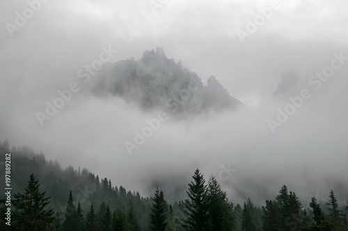 Berggipfel im Nebel mit Tannen im Vordergrund