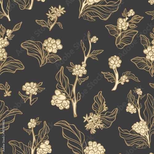 Seamless pattern. Coffee branch with leaf and bean