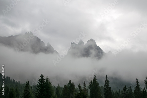Berggipfel im Nebel mit Baumreihe im Vordergrund