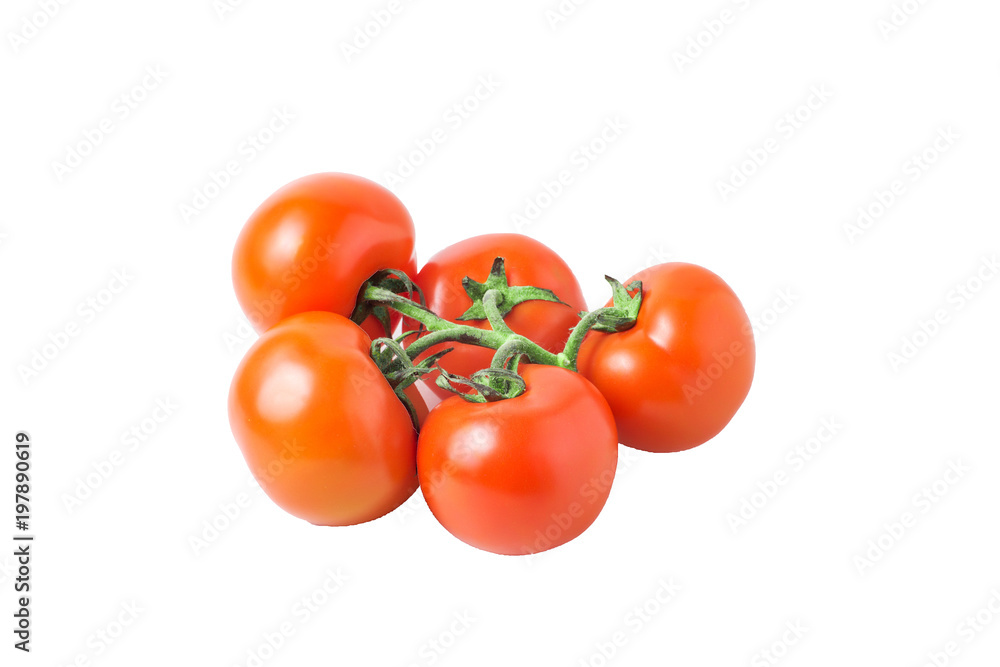 fresh tomatoes with green leaves isolated on white background fresh tomatoes with green leaves isolated on white background