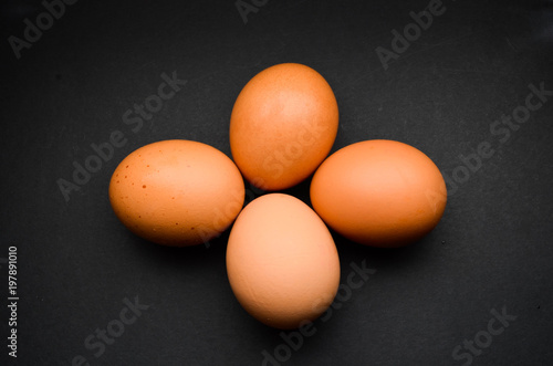 Chicken egg on a dark background.