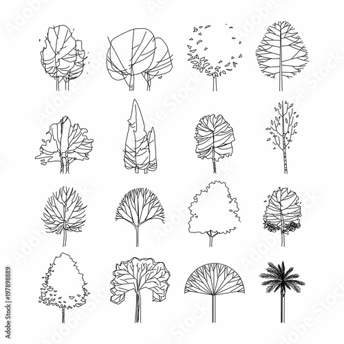 Side view, set of graphics trees elements outline symbol for architecture and landscape design drawing. Vector illustration
