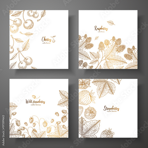 Collection of square gold cards with berries. Vector vintage frame with cherry, raspberry, wild strawberry, strawberry. Great for label, poster, packaging design, wrapping paper, menu.