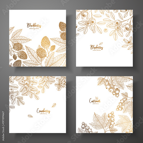Collection of square gold cards with berries. Vector vintage frame with blackberry, bluberry, cranberry, currant. Great for label, poster, packaging design, wrapping paper, menu.