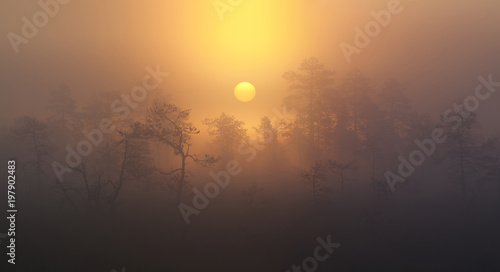 Fototapeta Naklejka Na Ścianę i Meble -  Sunrise in the foggy Bog