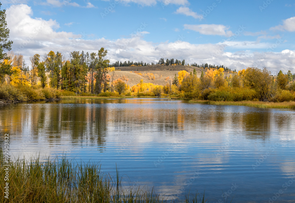 Scenic Autumn Landscape Reflection in Wyoming