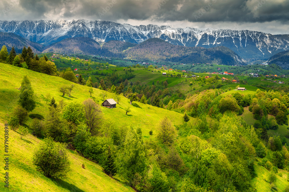 Wonderful spring landscape with snowy mountains near Brasov, Transylvania, Romania - obrazy, fototapety, plakaty 