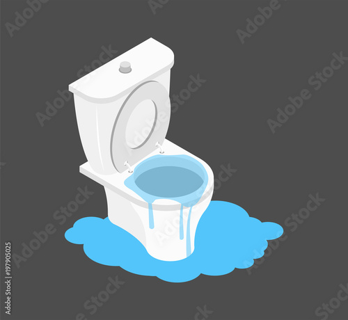 Toilet clogged Isometry. Leakage canalization. Litter in WC