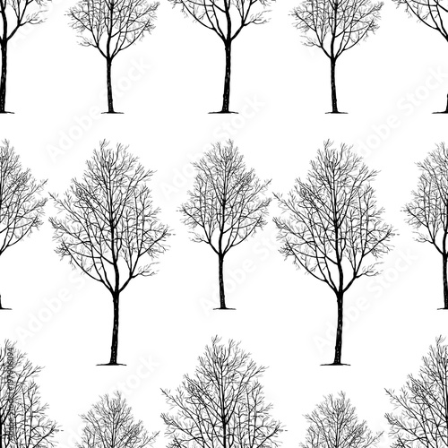 pattern of young deciduous trees