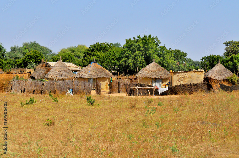 Village in Senegal, Africa
Village in Senegal, Africa