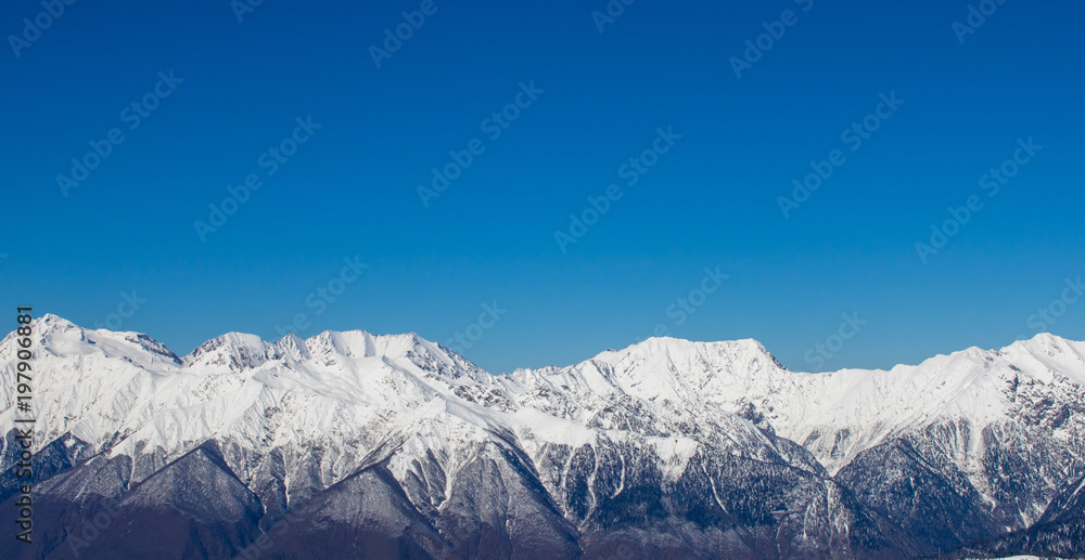 snow-covered mountains and forest against the blue sky