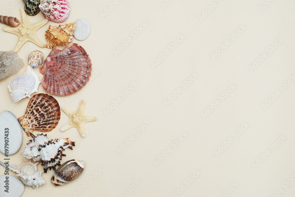 Obraz premium Summer and Vacation concept. Mix of Shells and Stones over Ivory Background with Copy space for Text. Top View.