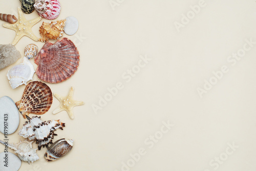 Summer and Vacation concept. Mix of Shells and Stones over Ivory Background with Copy space for Text. Top View.