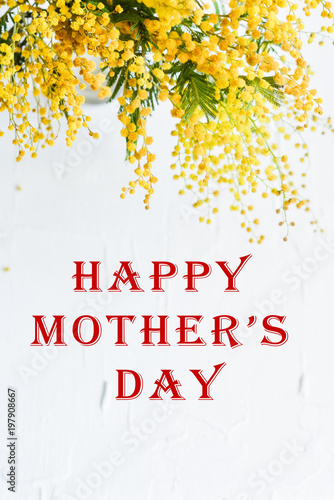 Floral background: a branch of Mimosa on a light background, copyspace for your text: greeting card, blank, mockup, background for inscription: "Happy mothers day", Spring concept