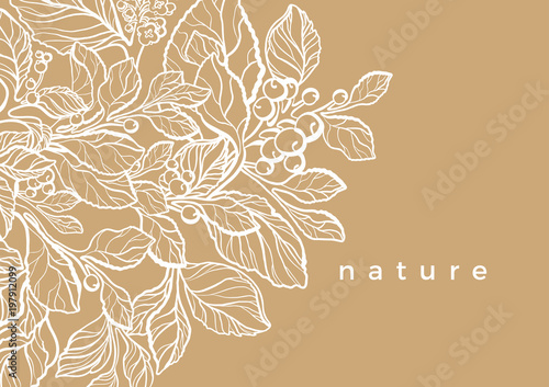 Floral branch with leaf and berry. Vector template