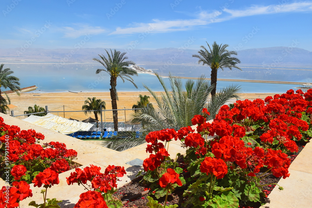 landscape at the Dead Sea, Israel shore