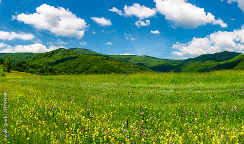 beautiful landscape with meadow in mountains. wild herbs on the ground and some clouds on a blue sky. gorgeous summer scenery