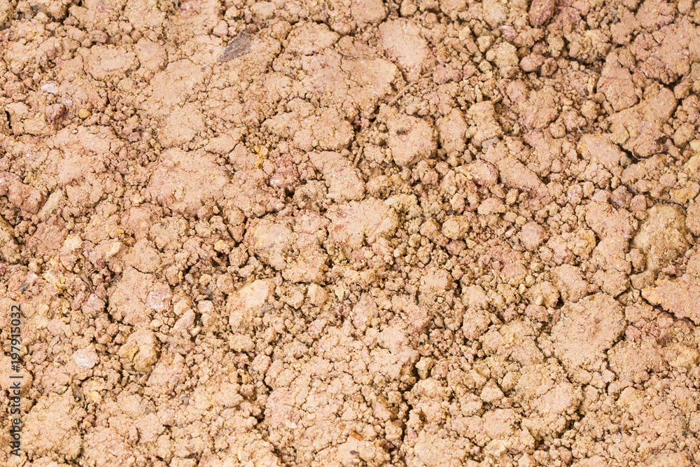 Ocher wet lump - texture Ocher wet lump - texture
