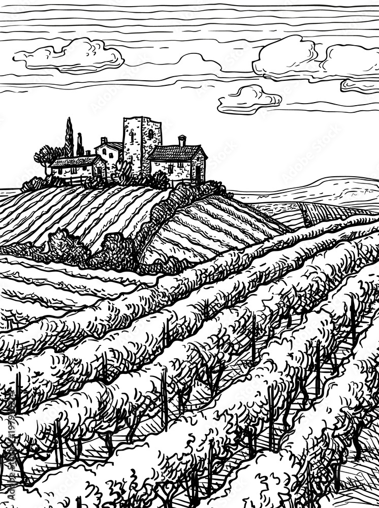 Hand drawn vineyard landscape.
