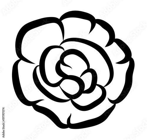 Vector illustration, terry impatiens flower in black and white colors