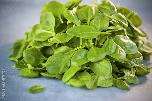 Food background. Fresh green spinach on gray concrete background.