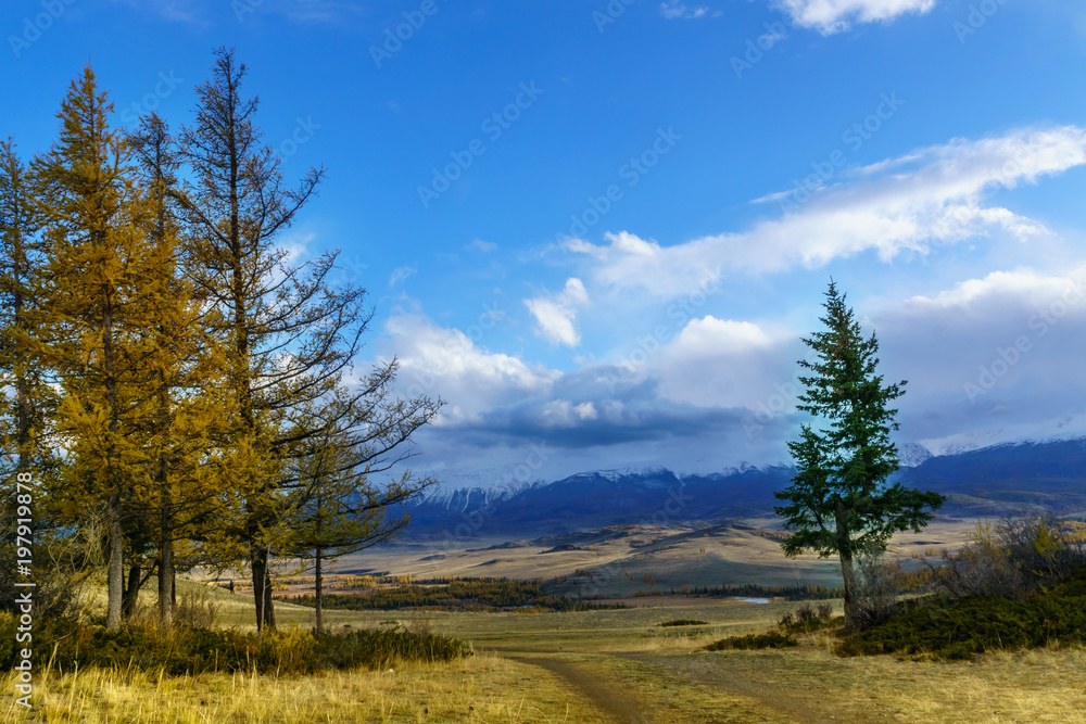 The landscape of Altai mountains , in autumn, Siberia, Russia.