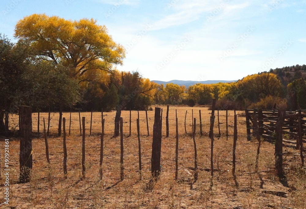 Western ranchland with fenceline Western ranchland with fenceline