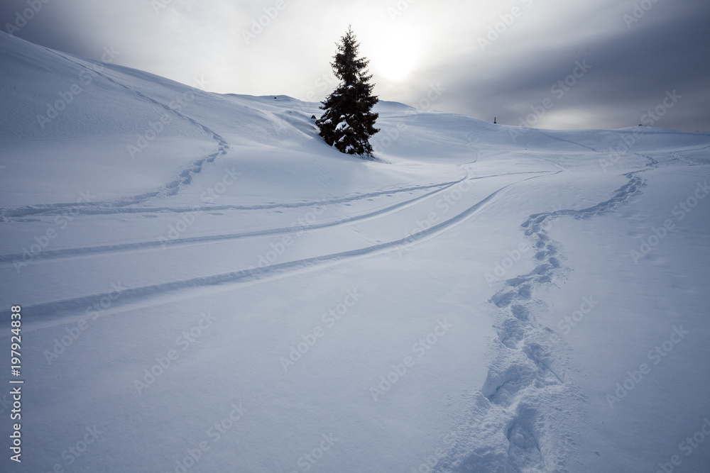 Traces of snowshoes and skis on fresh snow, Col Visentin, Belluno, Italy