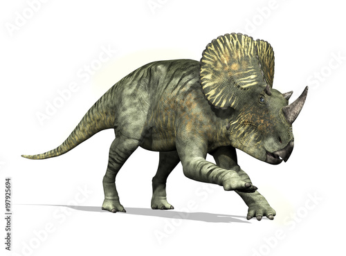 Brachyceratops Dinosaur