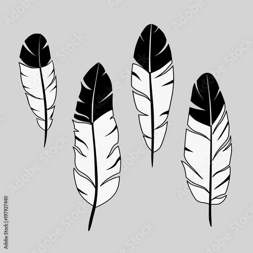 feathers, ink hand drawn stock vector