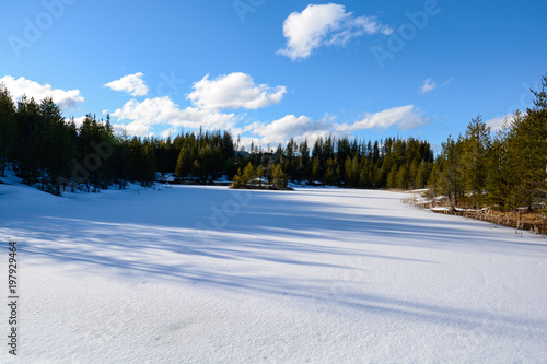 Snow covered pond with island in the middle
