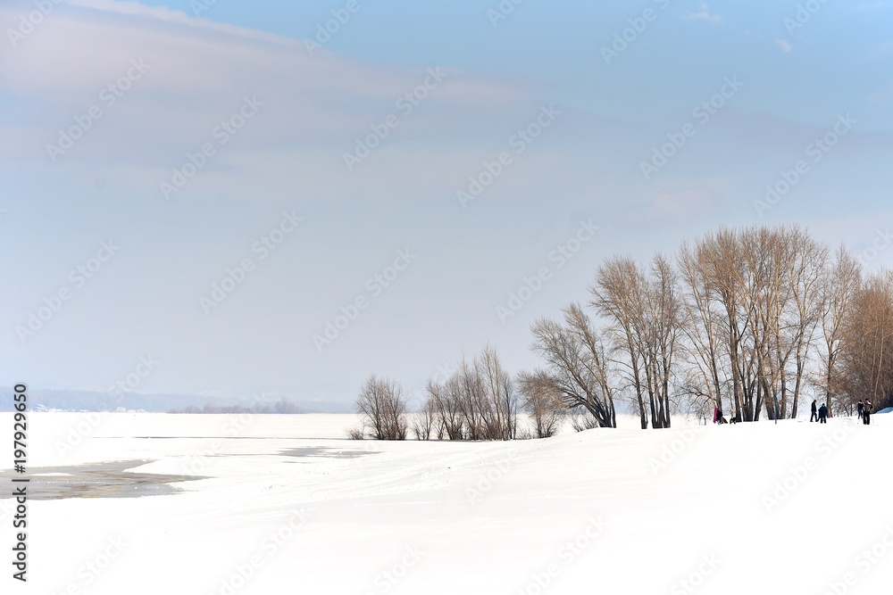 Trees on the shallows of a frozen river. Winter sunny day. Ice and snow. Trees on the shallows of a frozen river. Winter sunny day. Ice and snow.