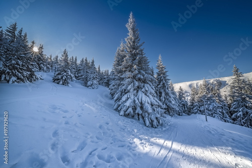 Beautiful landscape of winter Karkonosze mountains, Panorama © hajdar
