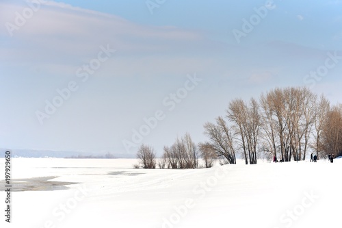 Bilde på lerret Trees on the shallows of a frozen river