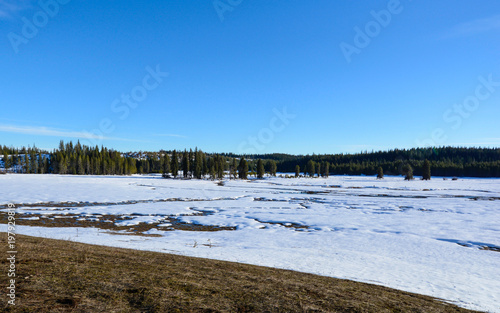 Melting snow covered meadow near forest 