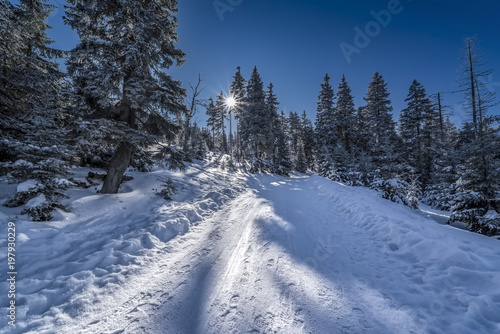 Fototapeta Naklejka Na Ścianę i Meble -  Beautiful landscape of winter Karkonosze mountains, Panorama