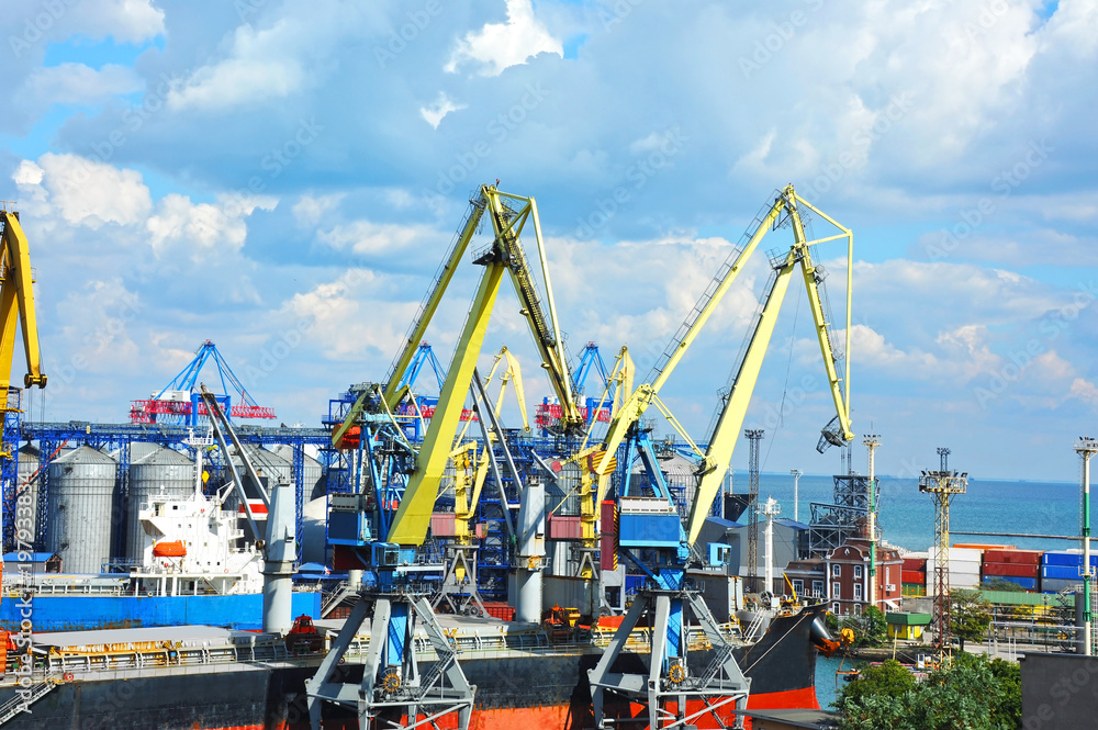 Bulk cargo ship under port crane