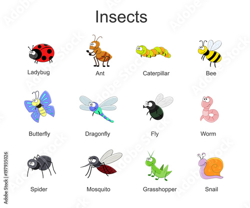 Big set with cute cartoon insects. Vector insects illustration i