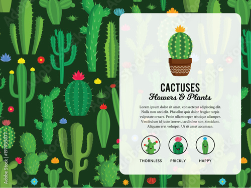 Vector cactus illustration