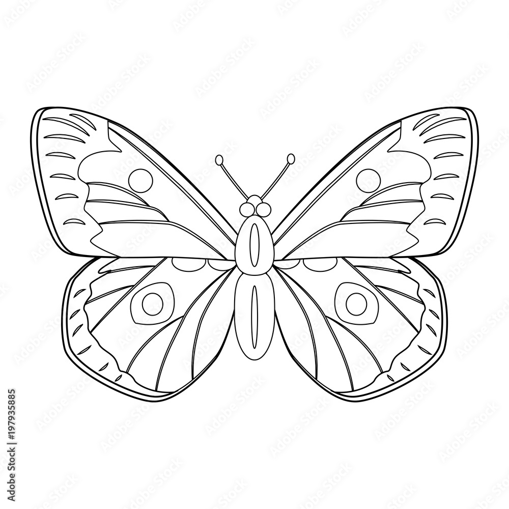 Colorless butterfly vector illustration isolated on white backgr Stock ...