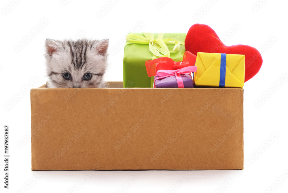 Kitten in the box and gifts.