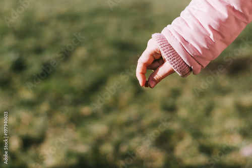 Stretched hand with a tidbits for a dog photo