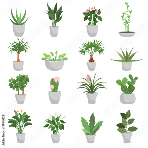 Different green homeplants color flat icons set