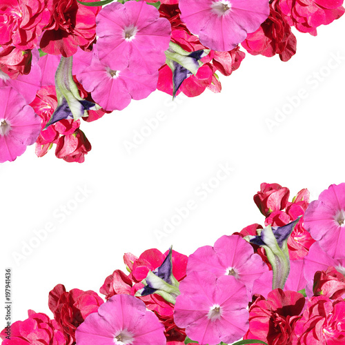 Beautiful floral background of petunias and pelargoniums 