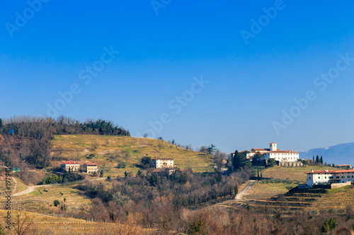 Winter morning in the vineyards of Collio  Italy