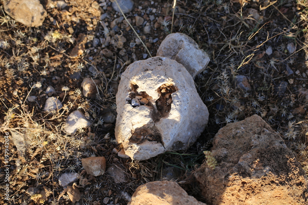 Fototapeta premium face