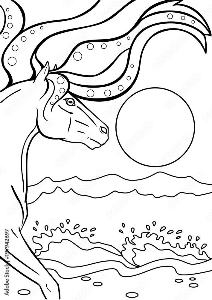 Horse. Kelpy. Water horse on the beach. Line drawing. For coloring ...